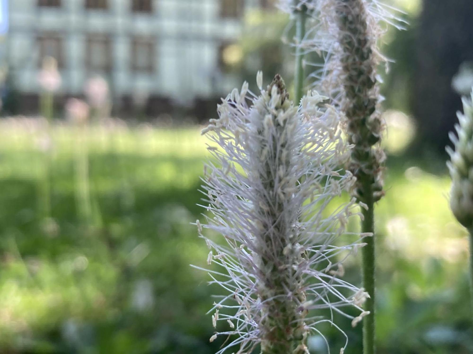 Poppenhaeuser Muehle Hofgeismar Exteriör bild